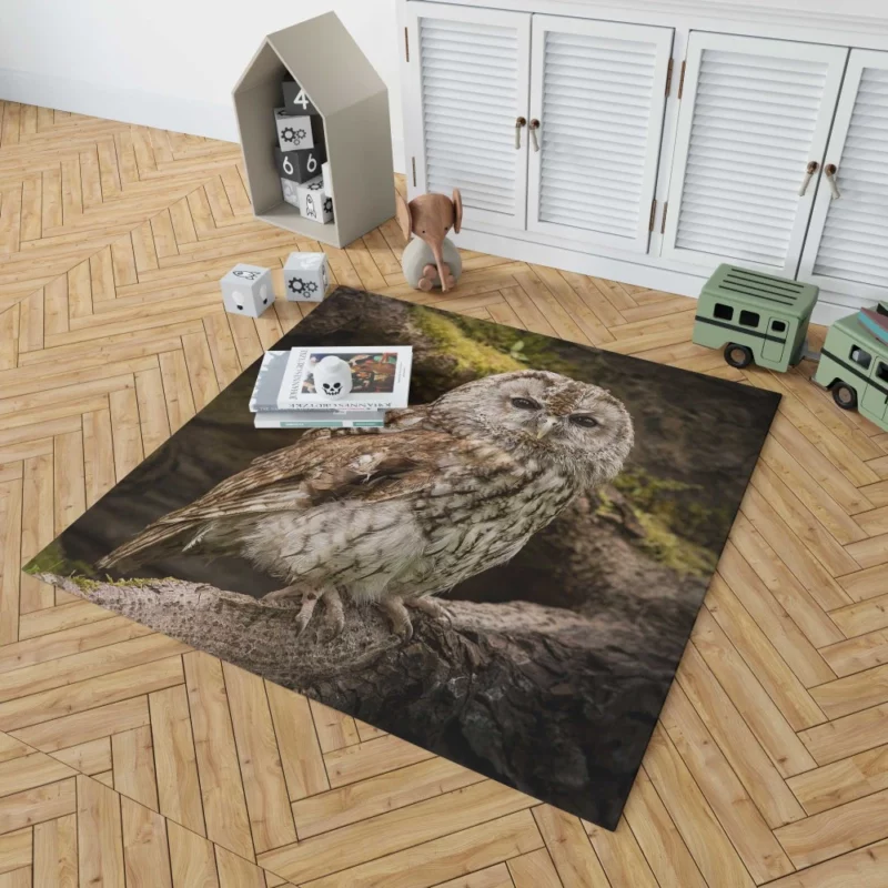 Wise Owl Stare Nocturnal Watch Rug 1