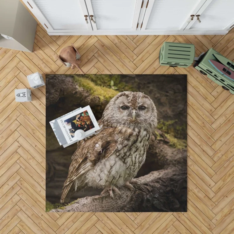 Wise Owl Stare Nocturnal Watch Rug