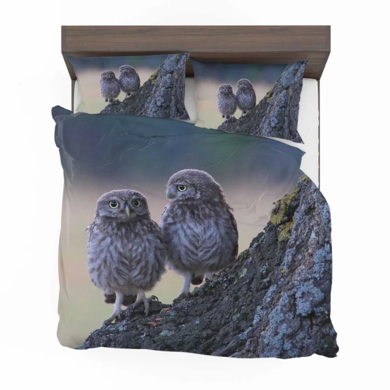 Wise Owls on Tree Branch Bedding Set 1