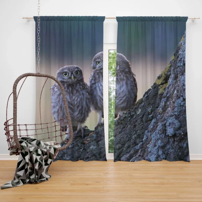 Wise Owls on Tree Branch Curtain