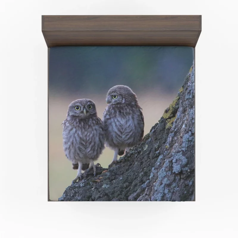 Wise Owls on Tree Branch Fitted Sheet 1