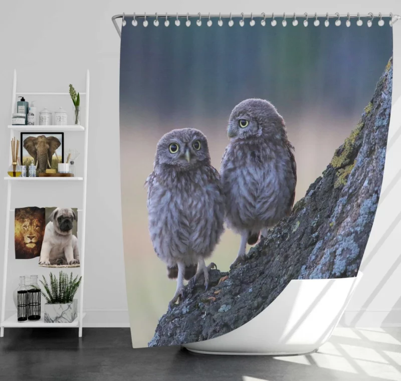 Wise Owls on Tree Branch Shower Curtain