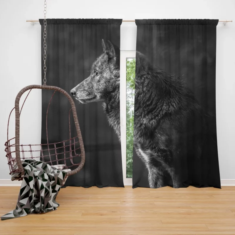 Wolf Black & White Muzzle Fierce Charm Curtain