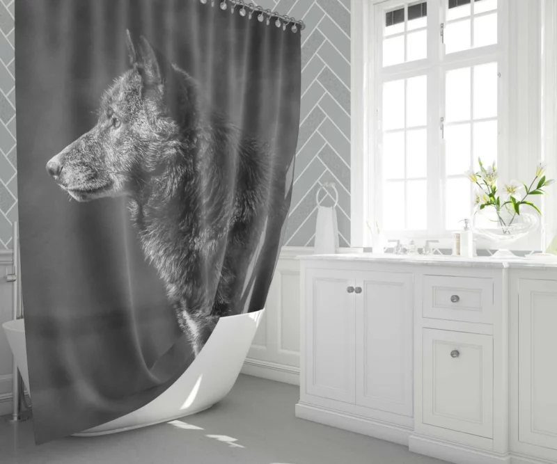 Wolf Black & White Muzzle Fierce Charm Shower Curtain 1