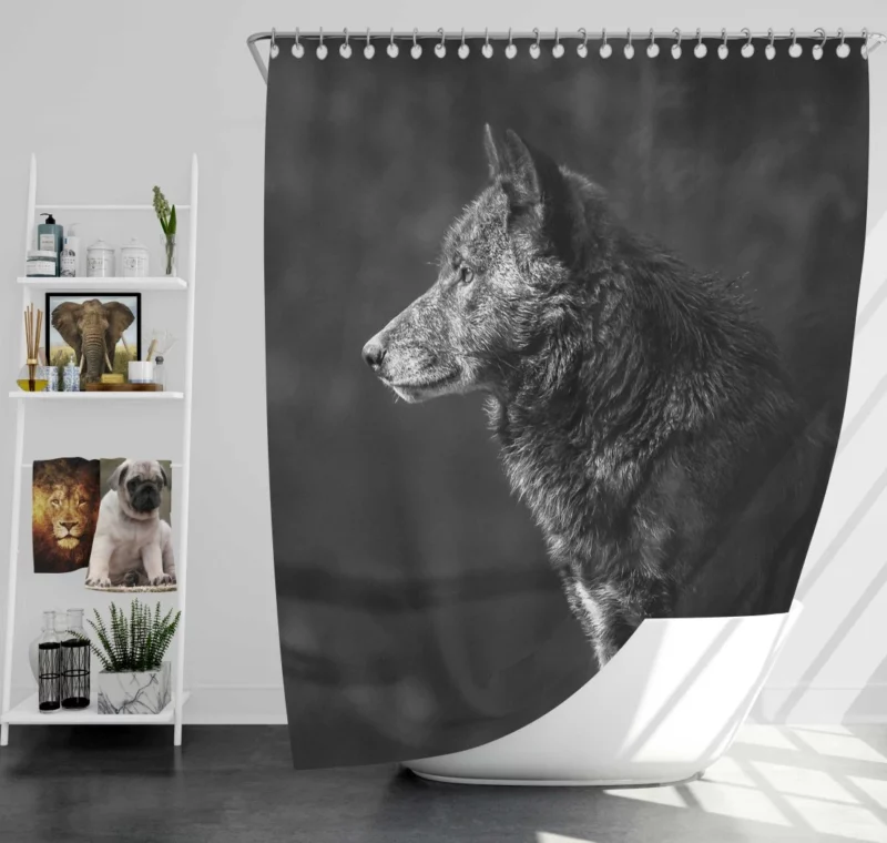 Wolf Black & White Muzzle Fierce Charm Shower Curtain