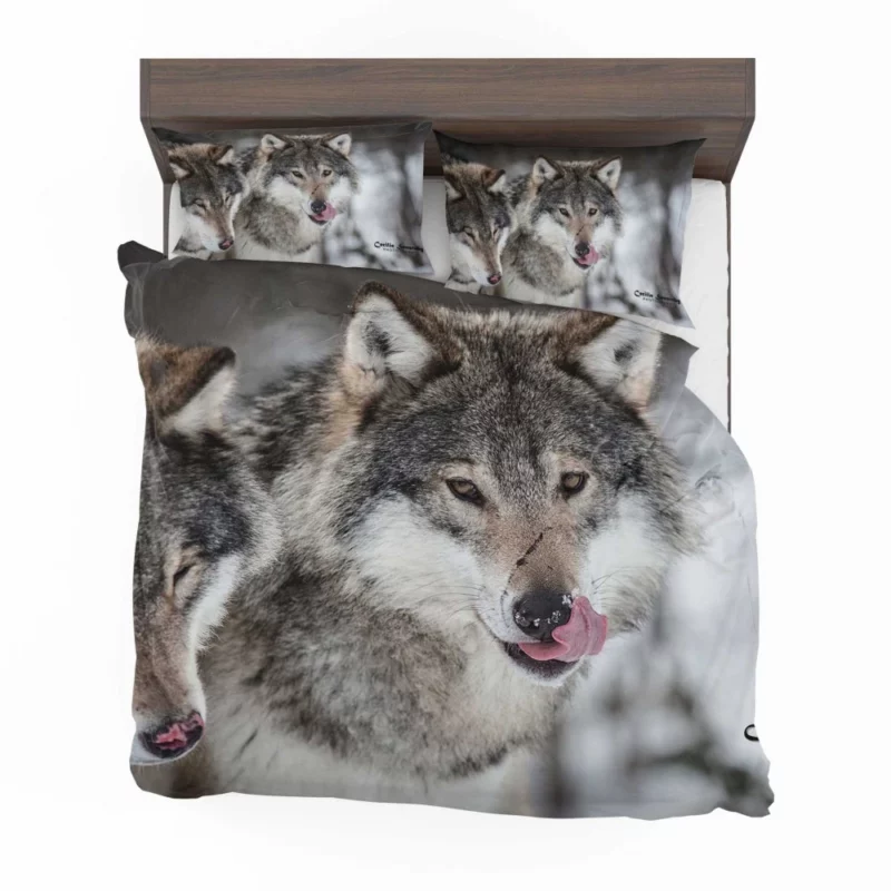 Wolf Close-Up Wilderness Intrigue Bedding Set 1