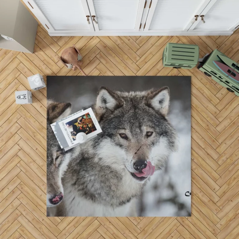 Wolf Close-Up Wilderness Intrigue Rug