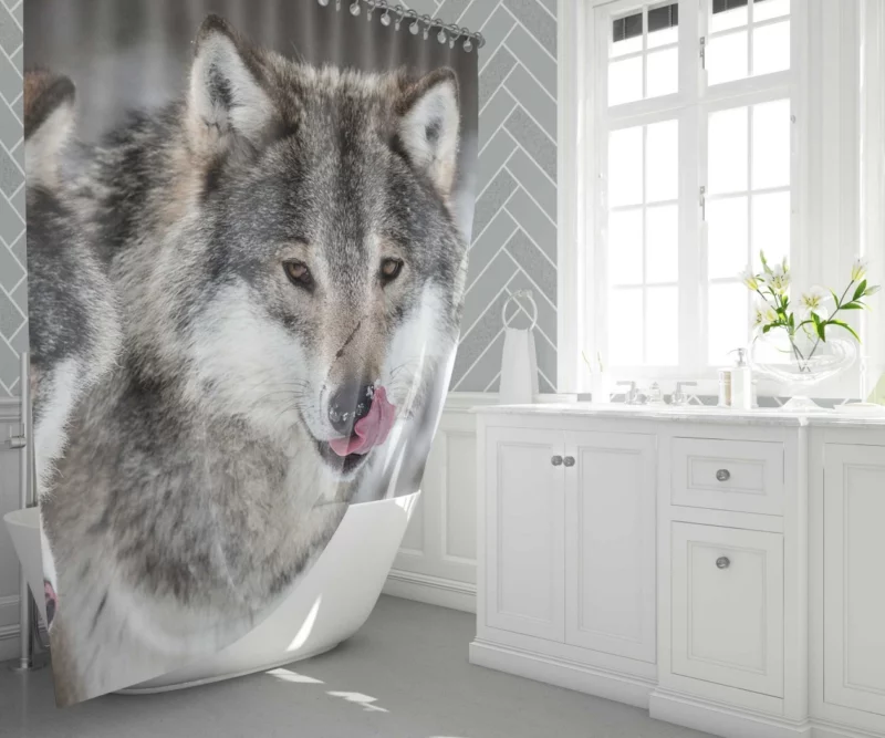 Wolf Close-Up Wilderness Intrigue Shower Curtain 1