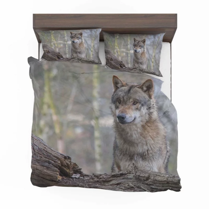 Wolf Depth of Field Bedding Set 1