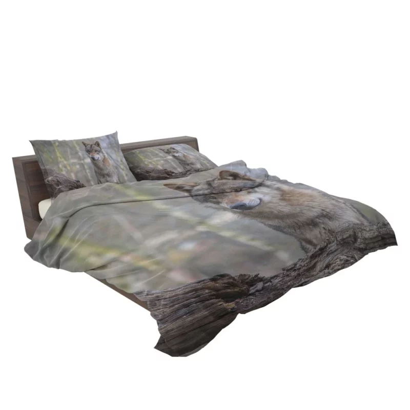 Wolf Depth of Field Bedding Set 2