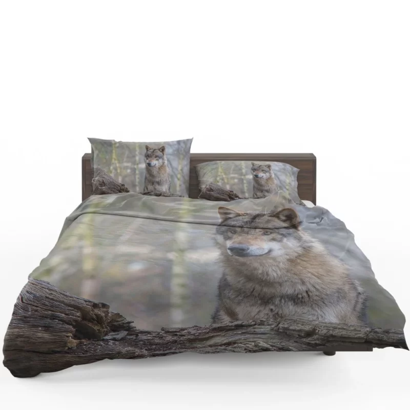 Wolf Depth of Field Bedding Set