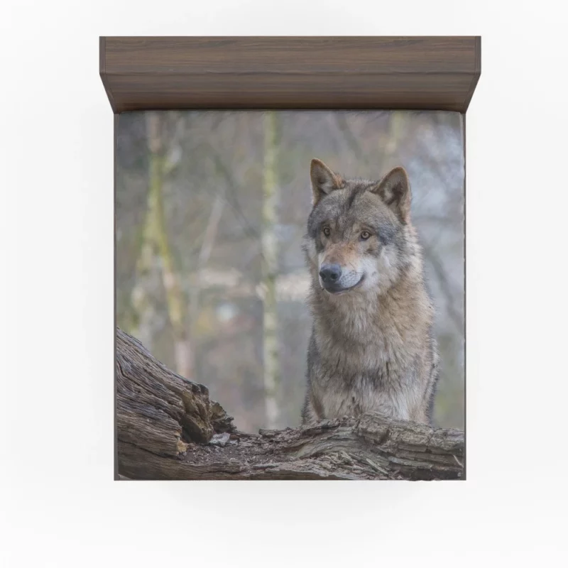 Wolf Depth of Field Fitted Sheet 1