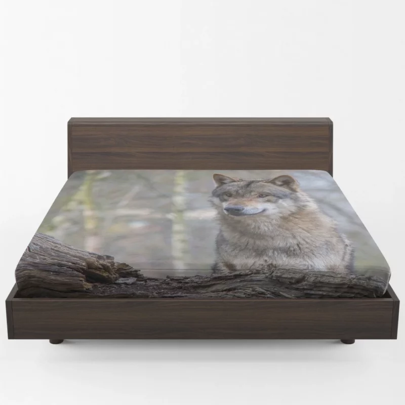 Wolf Depth of Field Fitted Sheet