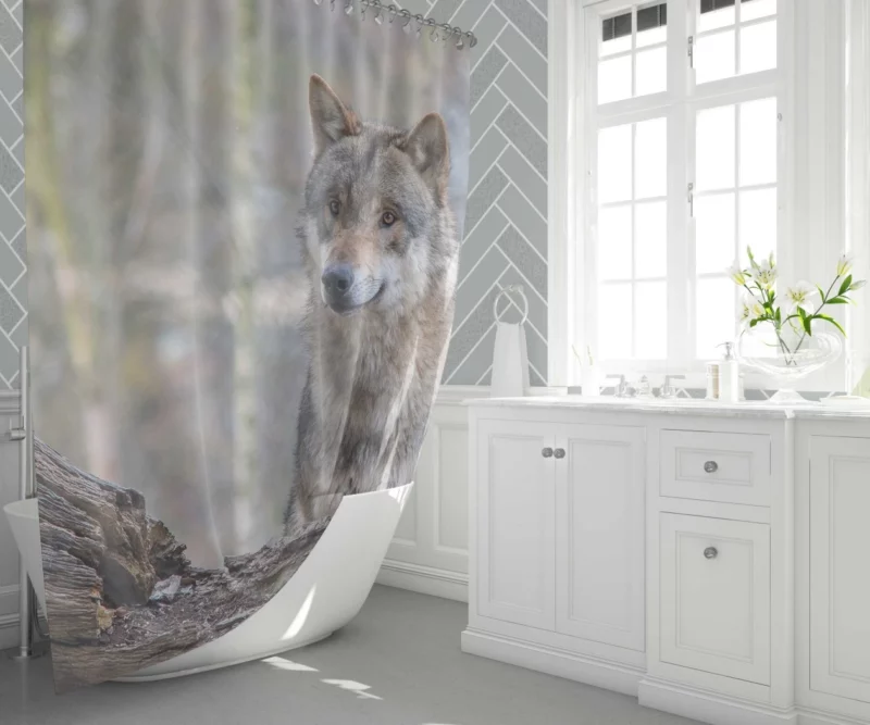 Wolf Depth of Field Shower Curtain 1