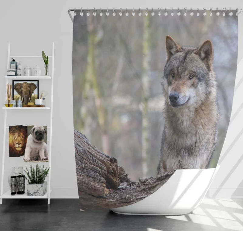 Wolf Depth of Field Shower Curtain