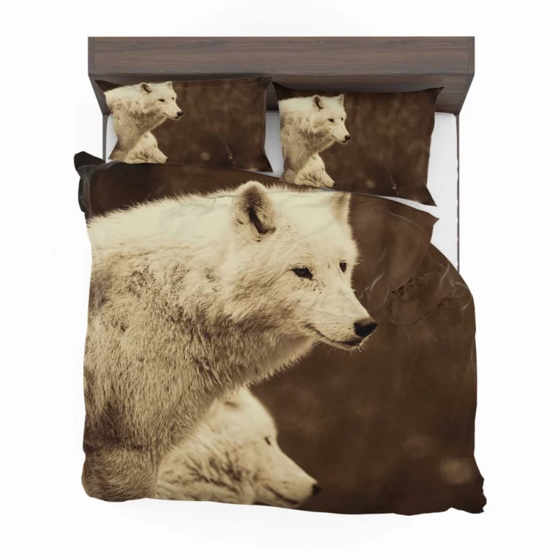 Wolf Enigmatic Gaze Wilderness Majesty Bedding Set 1