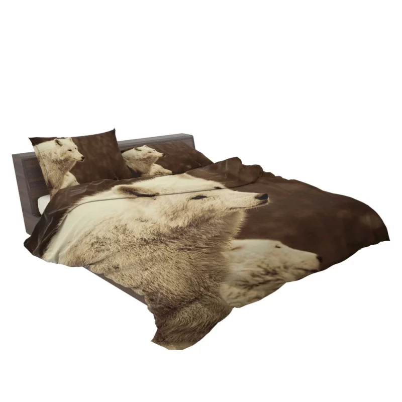 Wolf Enigmatic Gaze Wilderness Majesty Bedding Set 2