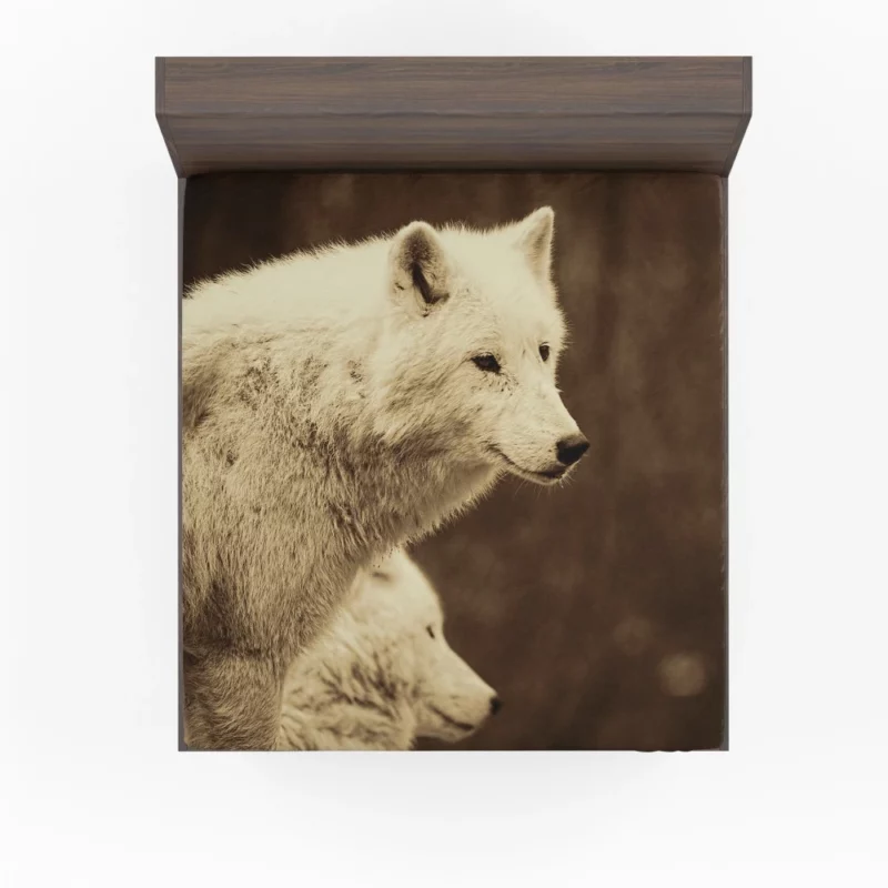 Wolf Enigmatic Gaze Wilderness Majesty Fitted Sheet 1