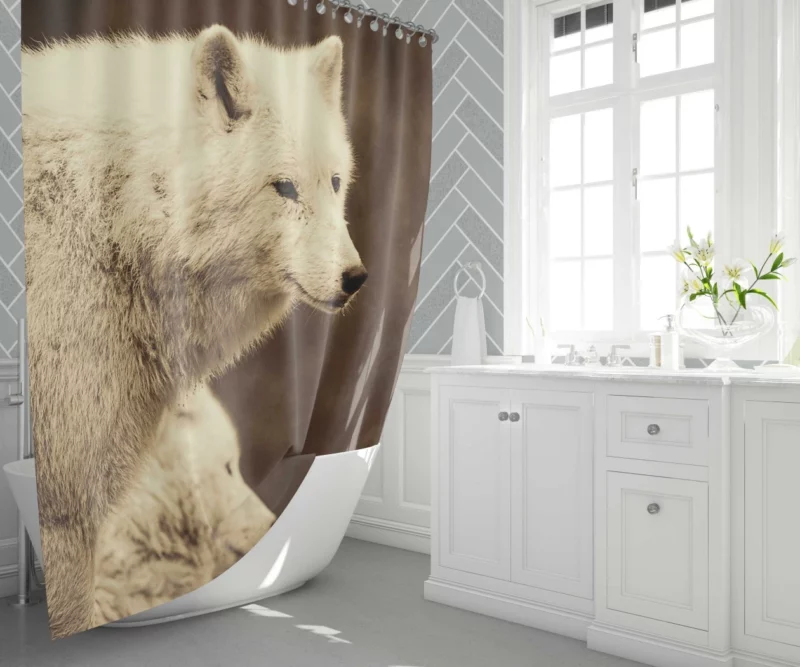 Wolf Enigmatic Gaze Wilderness Majesty Shower Curtain 1