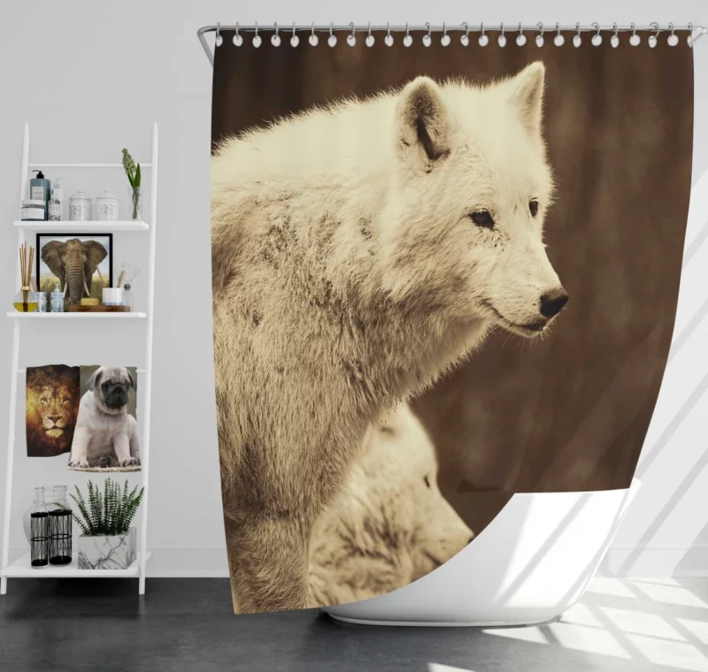 Wolf Enigmatic Gaze Wilderness Majesty Shower Curtain