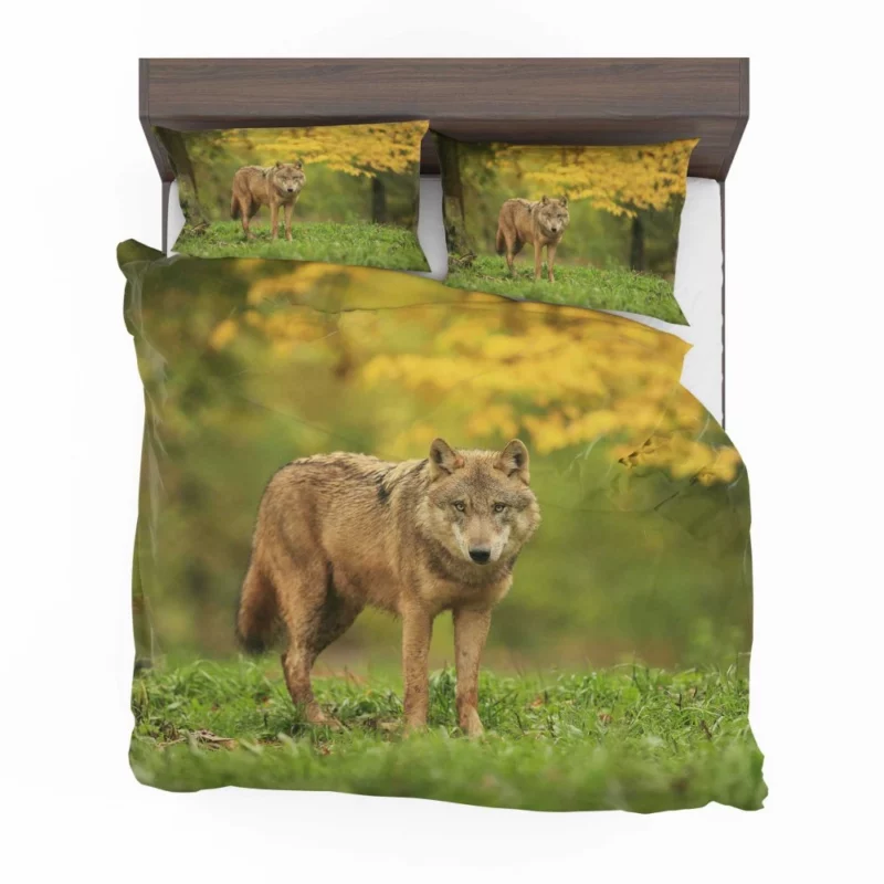 Wolf Enigmatic Gaze in Blur Bedding Set 1