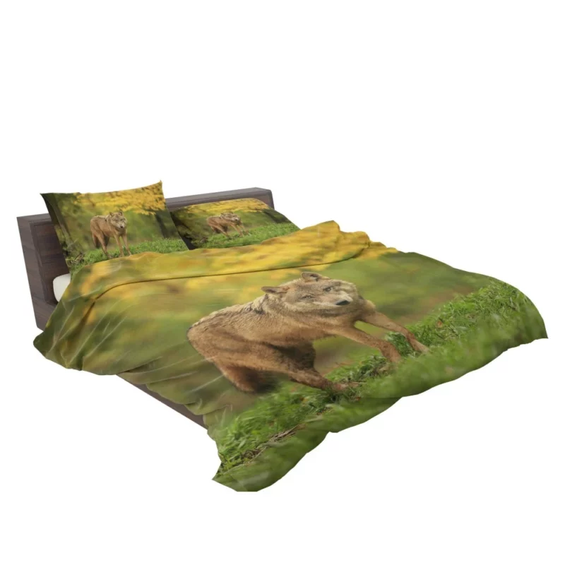 Wolf Enigmatic Gaze in Blur Bedding Set 2