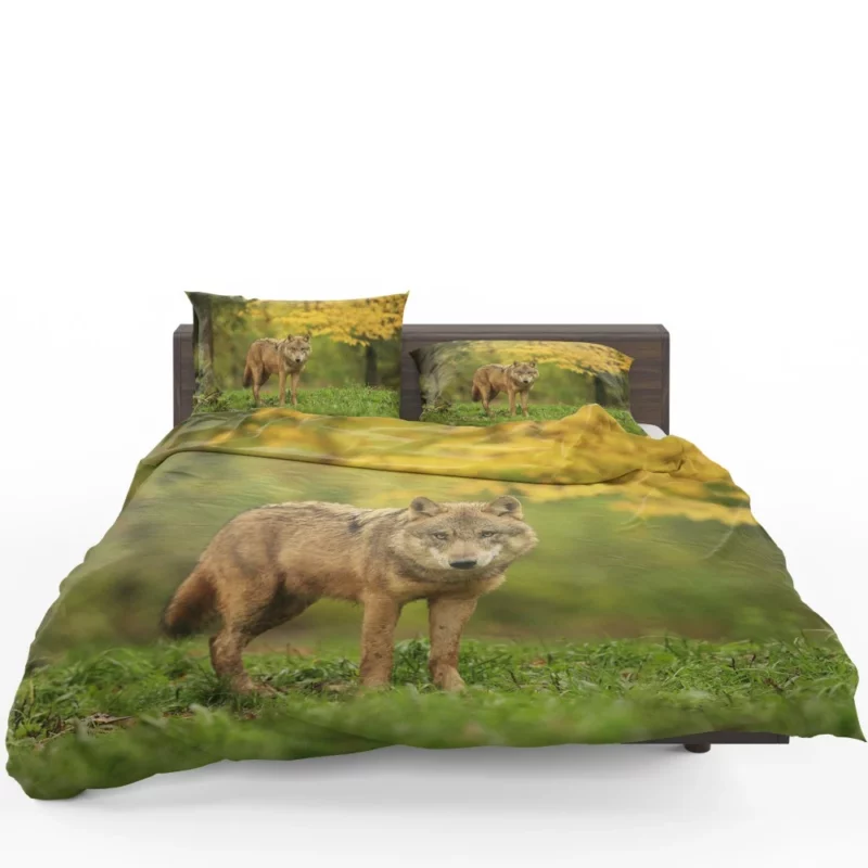 Wolf Enigmatic Gaze in Blur Bedding Set