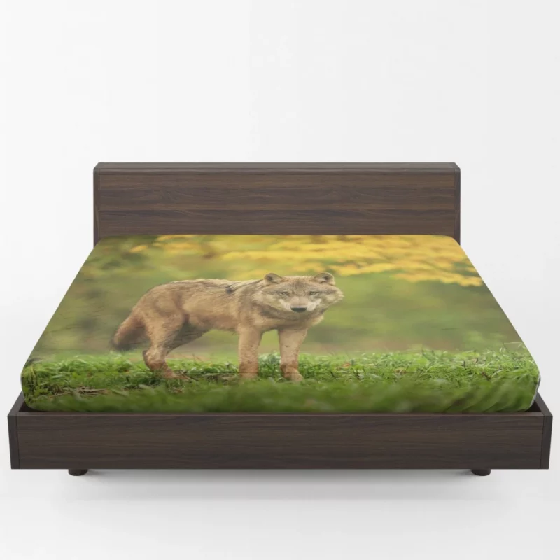 Wolf Enigmatic Gaze in Blur Fitted Sheet