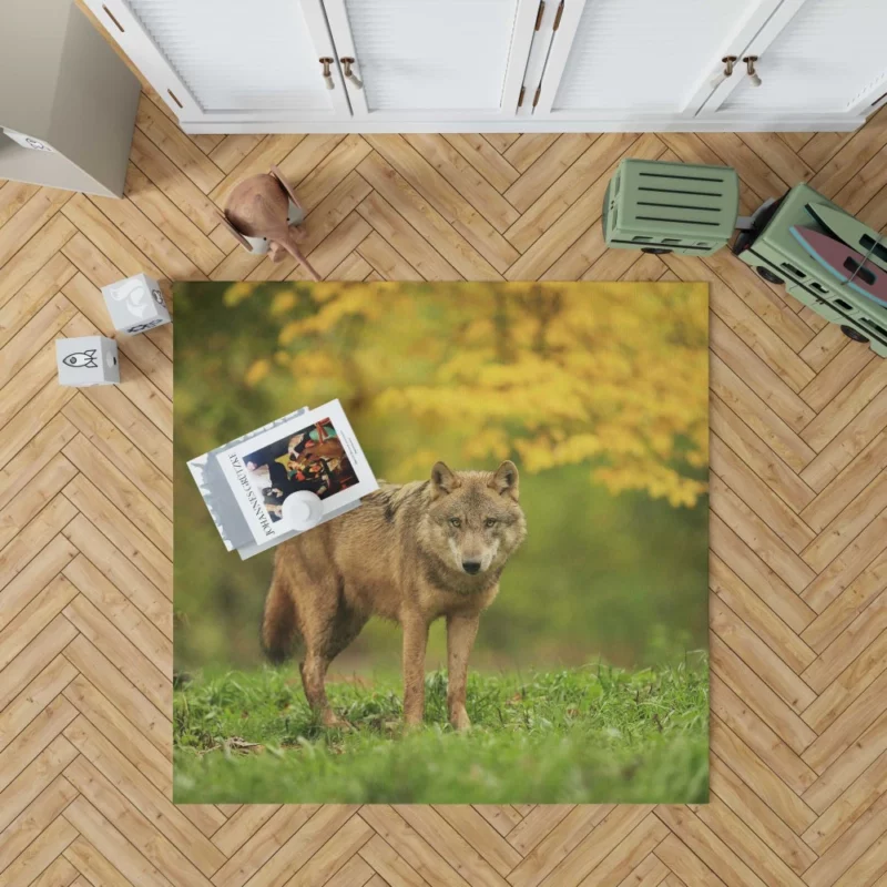 Wolf Enigmatic Gaze in Blur Rug