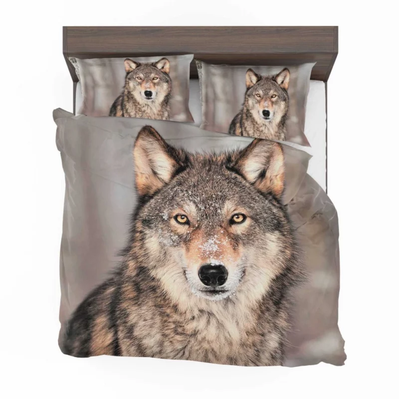 Wolf Fierce Gaze Untamed Wilderness Bedding Set 1