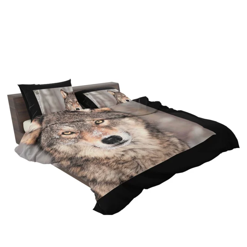 Wolf Fierce Gaze Untamed Wilderness Bedding Set 2