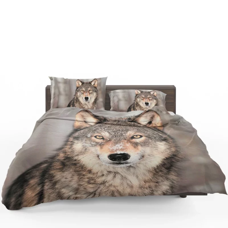 Wolf Fierce Gaze Untamed Wilderness Bedding Set