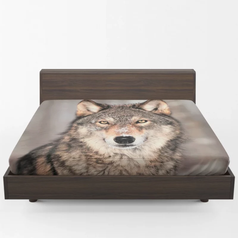 Wolf Fierce Gaze Untamed Wilderness Fitted Sheet