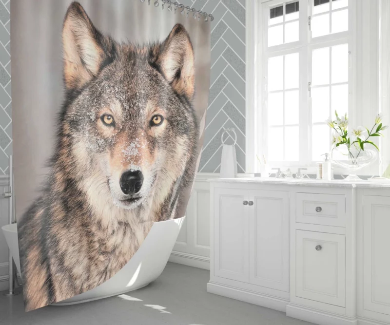 Wolf Fierce Gaze Untamed Wilderness Shower Curtain 1