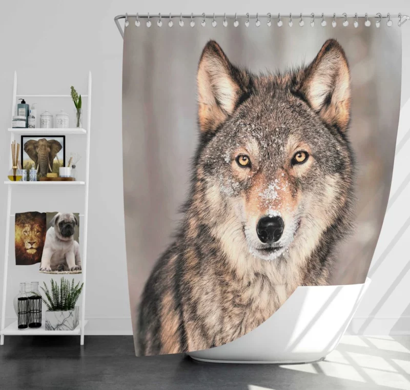 Wolf Fierce Gaze Untamed Wilderness Shower Curtain