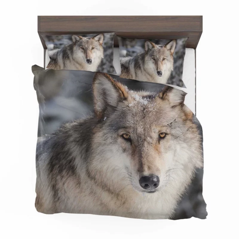 Wolf Fierce Wilderness Stance Bedding Set 1