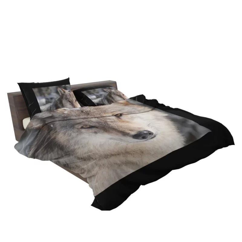 Wolf Fierce Wilderness Stance Bedding Set 2