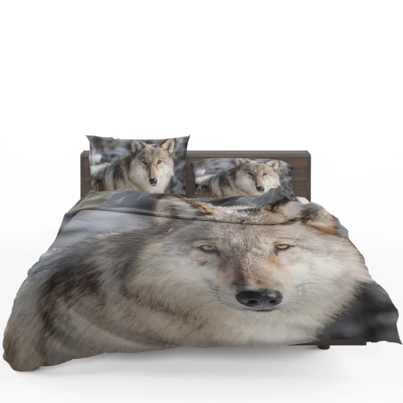 Wolf Fierce Wilderness Stance Bedding Set