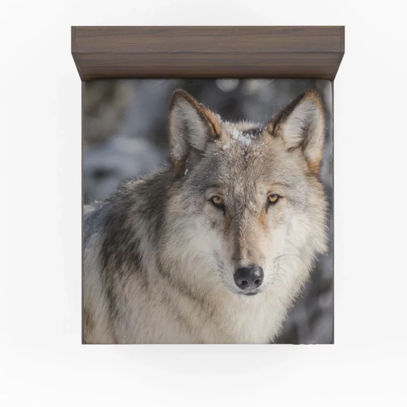 Wolf Fierce Wilderness Stance Fitted Sheet 1