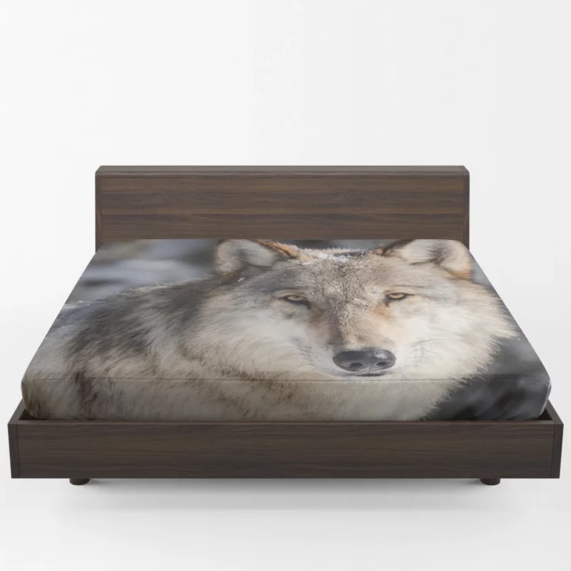 Wolf Fierce Wilderness Stance Fitted Sheet