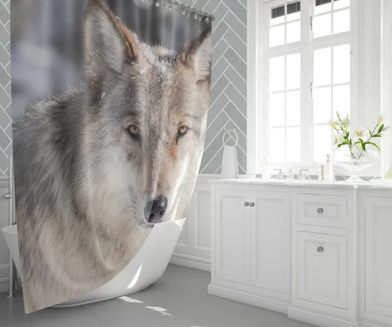 Wolf Fierce Wilderness Stance Shower Curtain 1