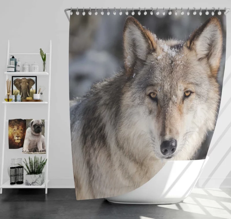 Wolf Fierce Wilderness Stance Shower Curtain