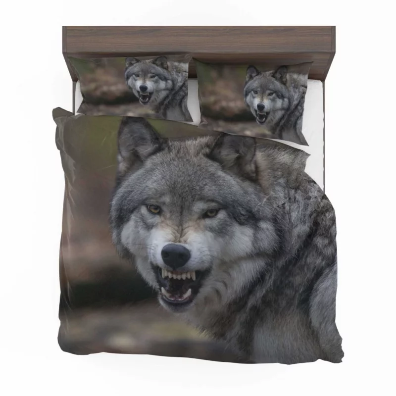 Wolf Gaze Untamed Majesty Bedding Set 1