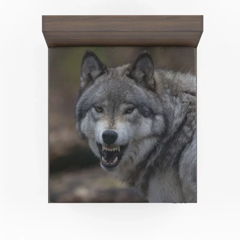 Wolf Gaze Untamed Majesty Fitted Sheet 1