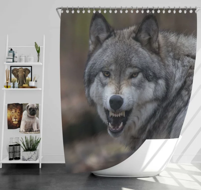 Wolf Gaze Untamed Majesty Shower Curtain