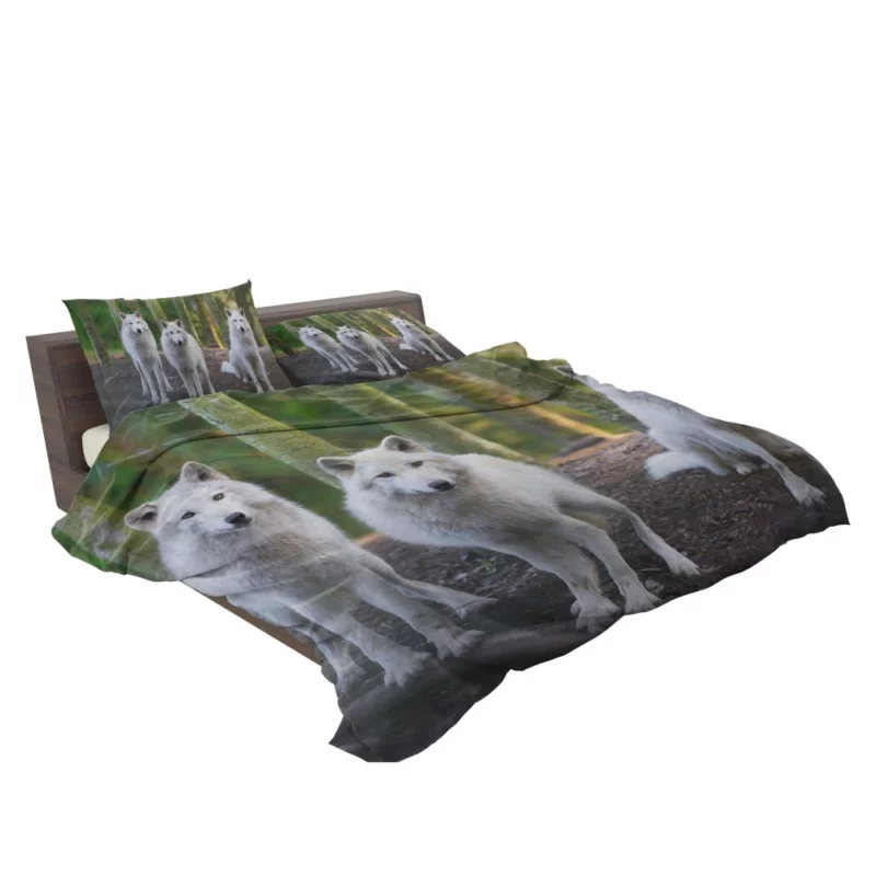 Wolf Gaze Wilderness Majesty Bedding Set 2