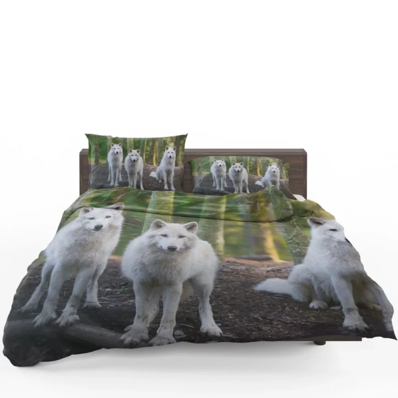 Wolf Gaze Wilderness Majesty Bedding Set