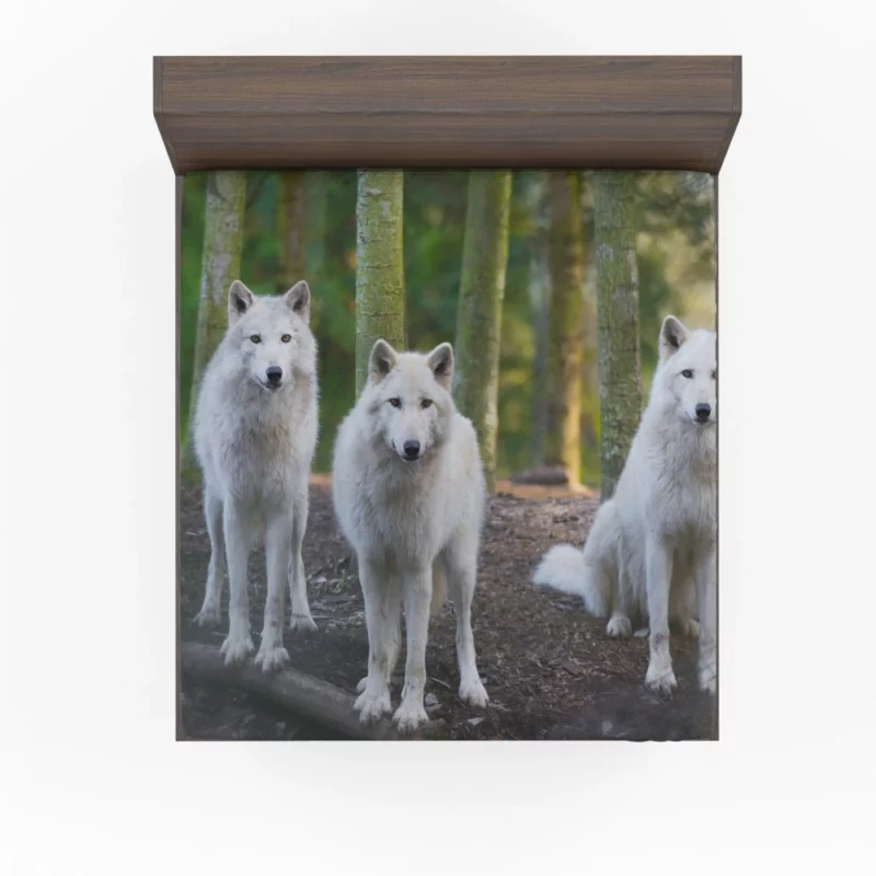 Wolf Gaze Wilderness Majesty Fitted Sheet 1