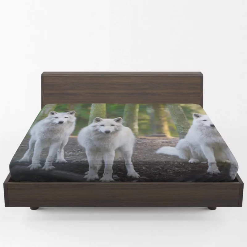 Wolf Gaze Wilderness Majesty Fitted Sheet