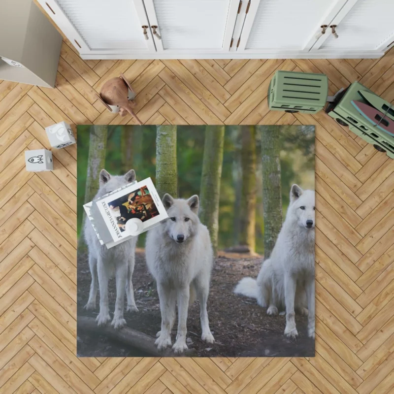 Wolf Gaze Wilderness Majesty Rug